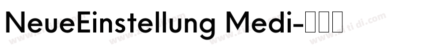 NeueEinstellung Medi字体转换 NeueEinstellung Medi字体转换